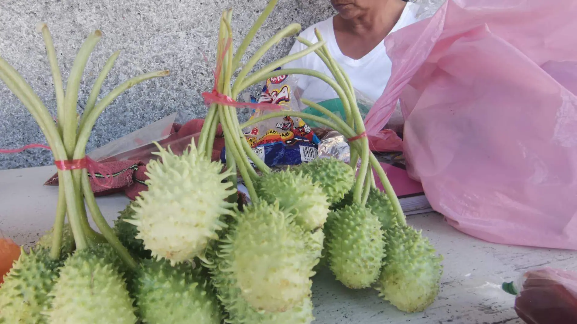 Chayotitos o pepinillos del monte, un vegetal que nace en Veracruz 